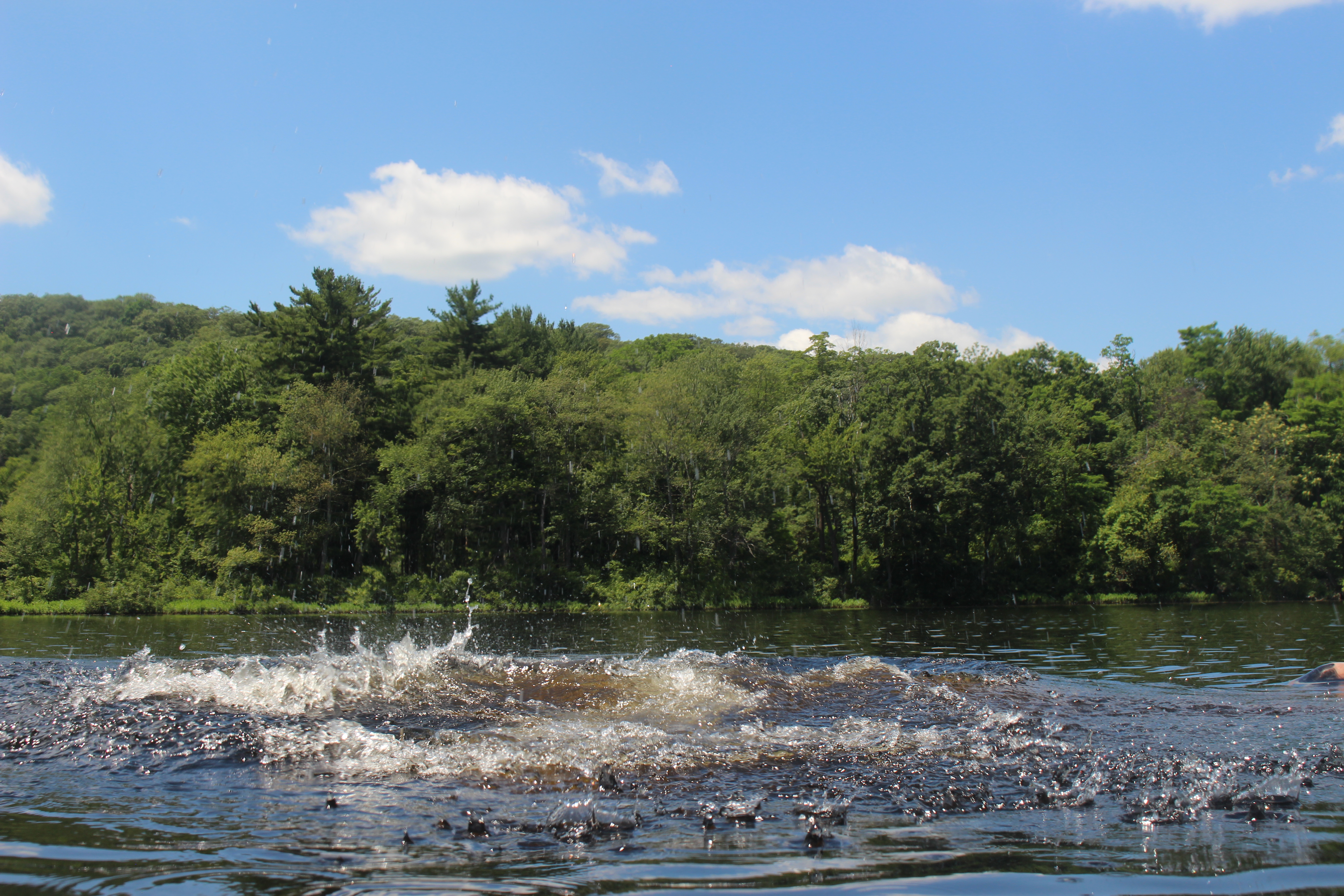 Life Is Meant To Be Lived